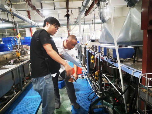 規(guī)范廠中廠，服務(wù)小微園 樂(lè)清翁垟街道多措并舉繃緊企業(yè)生產(chǎn)安全弦